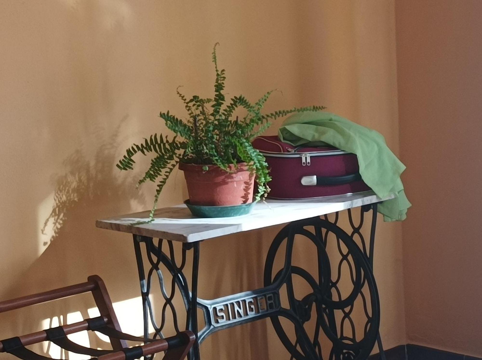 Bed And Breakfast Da Pio Castello  Bagian luar foto