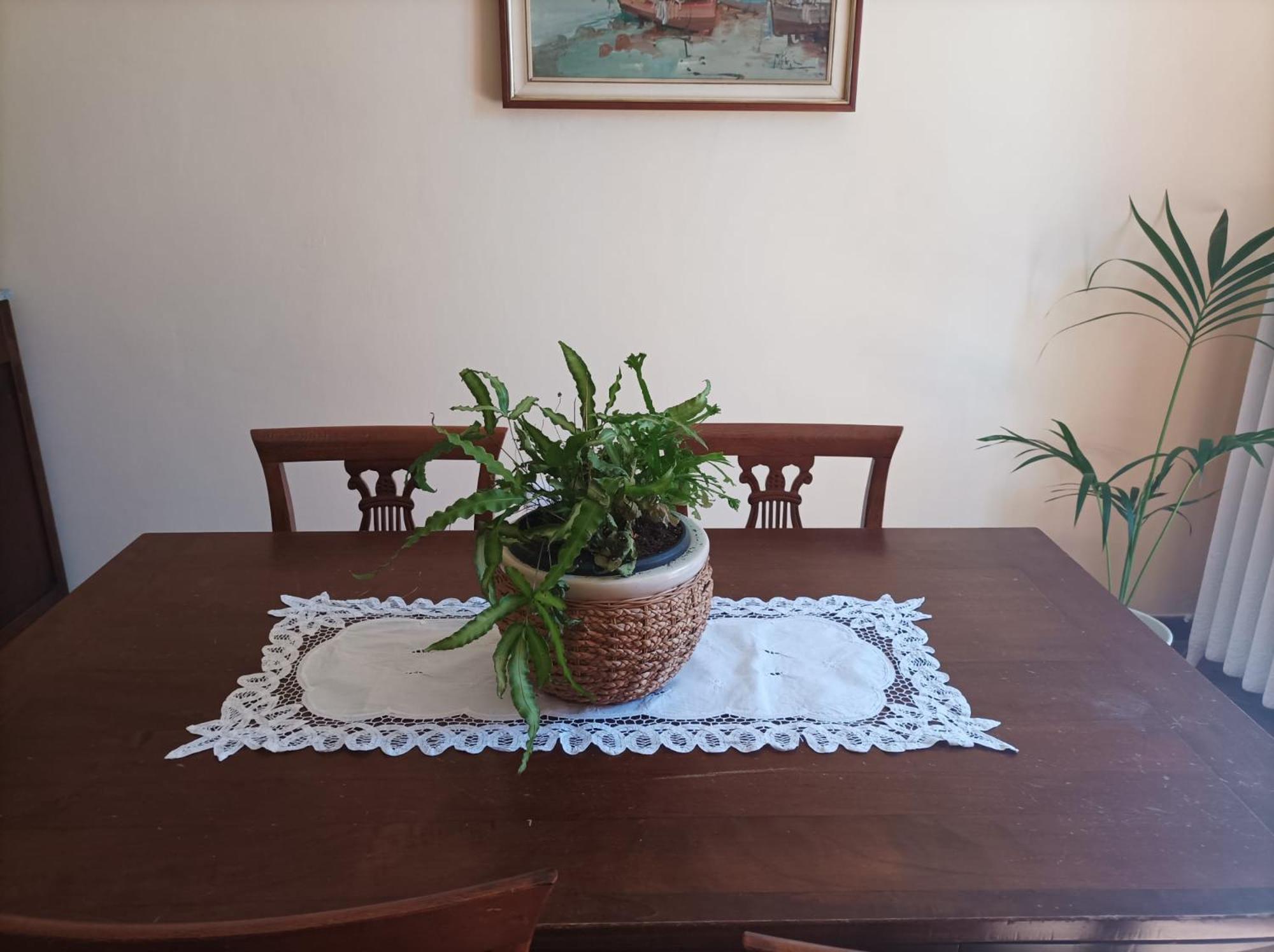 Bed And Breakfast Da Pio Castello  Bagian luar foto