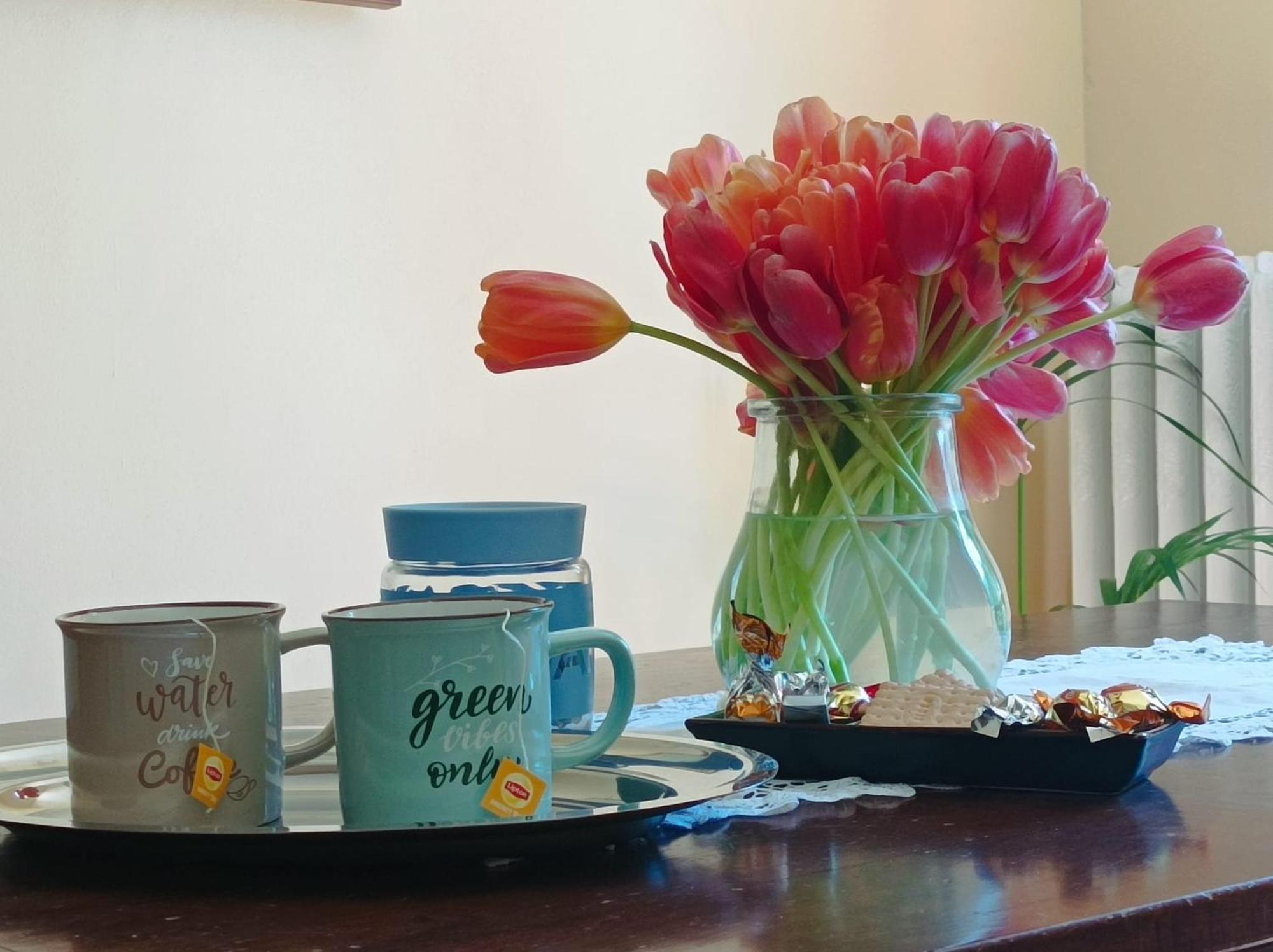 Bed And Breakfast Da Pio Castello  Bagian luar foto