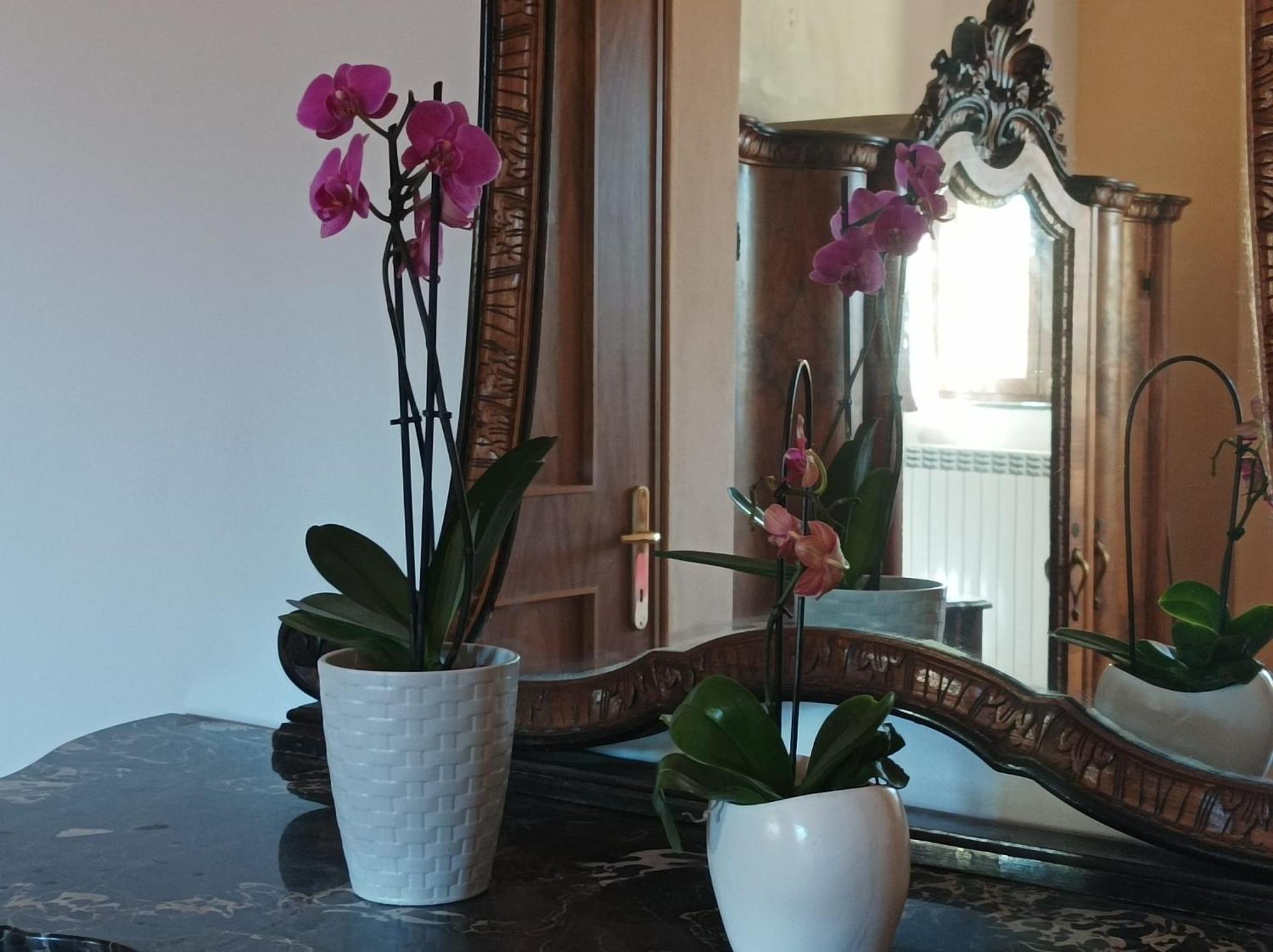 Bed And Breakfast Da Pio Castello  Bagian luar foto