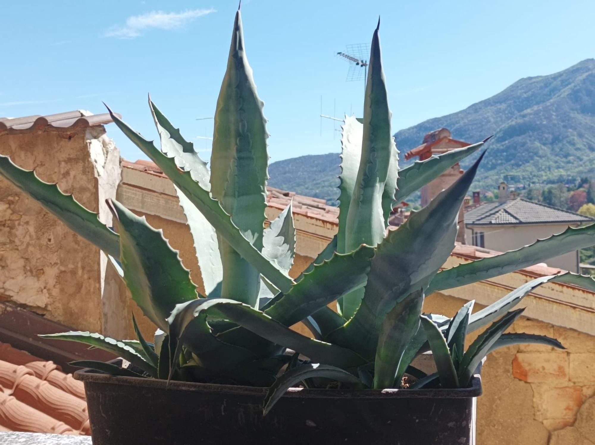 Bed And Breakfast Da Pio Castello  Bagian luar foto